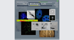 Desktop Screenshot of bishoplab.bsd.uchicago.edu