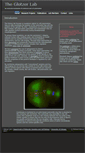 Mobile Screenshot of glotzerlab.uchicago.edu