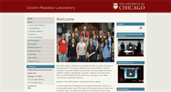 Desktop Screenshot of goldin-meadow-lab.uchicago.edu